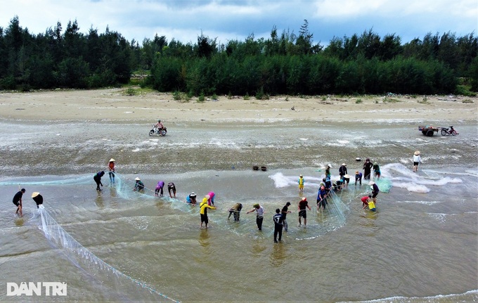 Ha Tinh fishermen enjoy big catches - 1