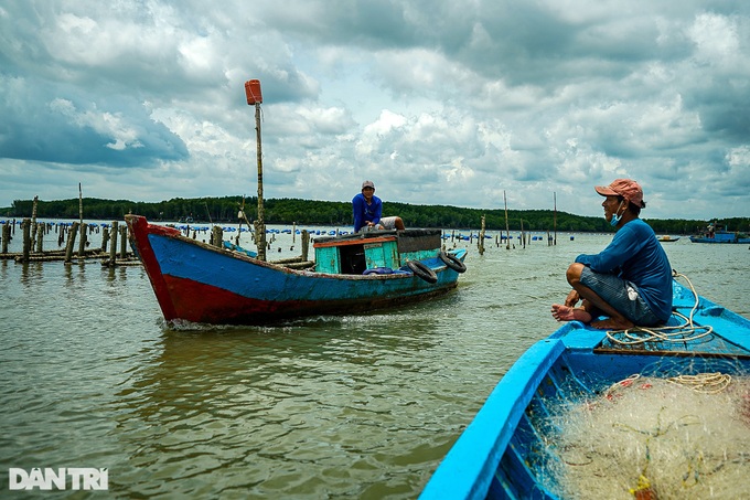 HCM City fishermen return to work after long social distancing - 3