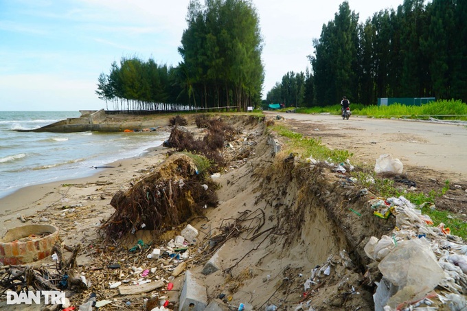 Thanh Hoa beach severely eroded - 1 Thanh Hoa beach severely eroded - 1