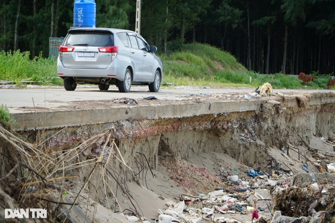 Thanh Hoa beach severely eroded - 5 Thanh Hoa beach severely eroded - 5