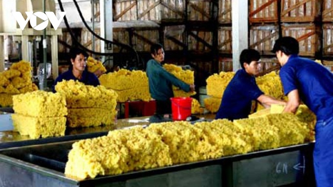 10 biggest rubber import markets increase purchase of Vietnamese rubber - 1