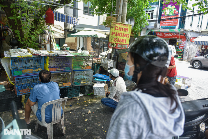 Ghost Festival ceremony birds sell well - 3 Ghost Festival ceremony birds sell well - 3