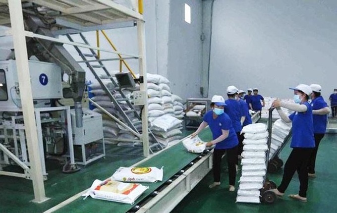 Vietnam's rice export prices hit two-year high - 1