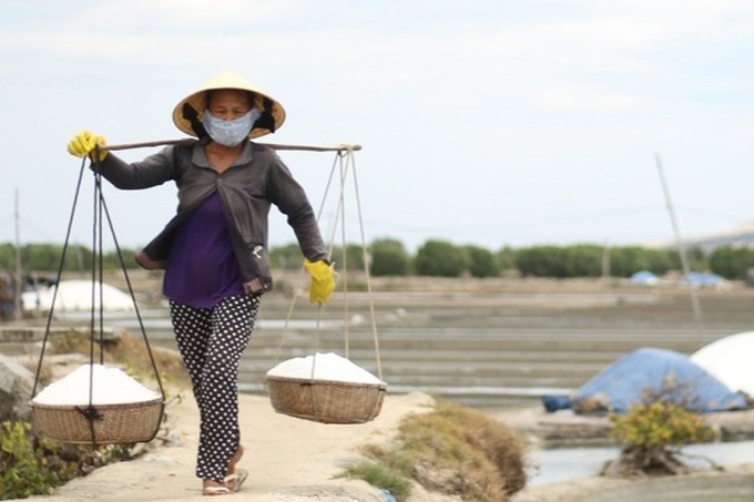Salt farmers switch to other jobs as prices drop - 1