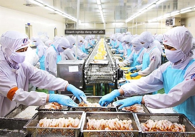 VASEP asks for more loans for seafood enterprises - 1
