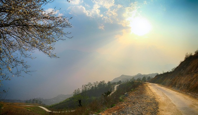 Y Ty Plateau covered in fog - 7