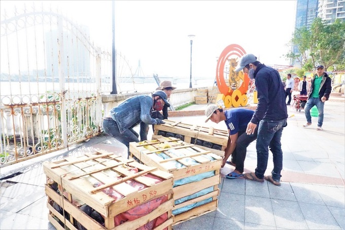 Danang streets decorated for Tet - 4