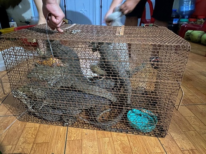Two women in Dak Nong fined for illegal wildlife trade and captivity - 1 Two women in Dak Nong fined for illegal wildlife trade and captivity - 1