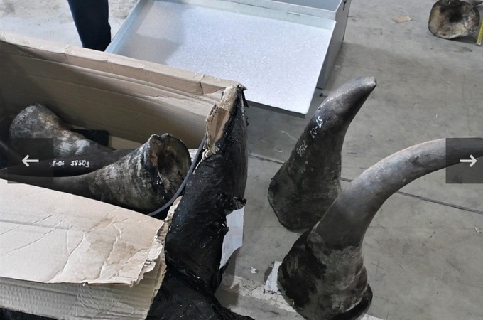 Man prosecuted for trading wild animal parts - 2