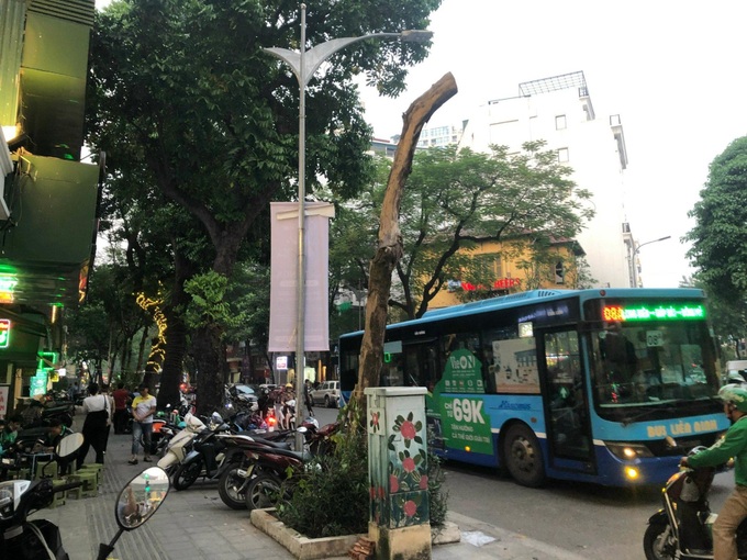 Hanoi trees suspected of being poisoned for blocking views - 7