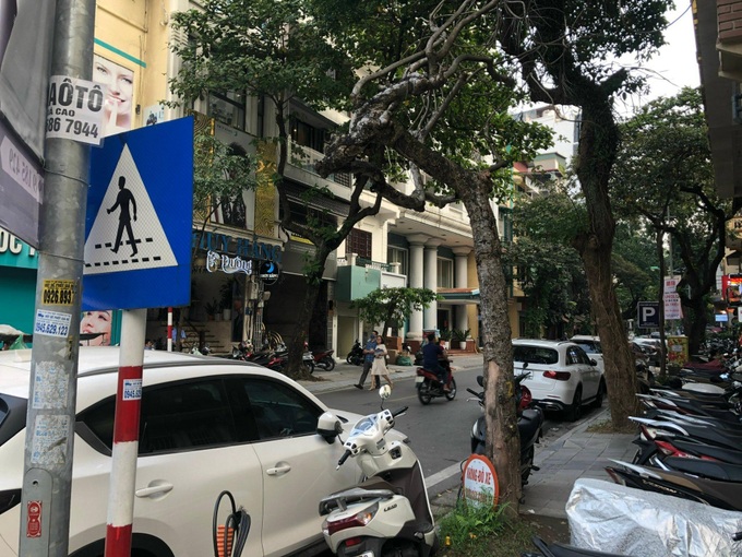 Hanoi trees suspected of being poisoned for blocking views - 4