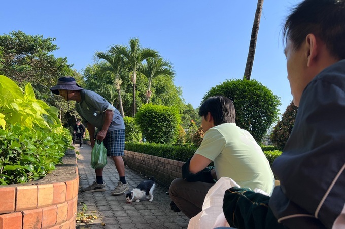 Feral cats controlled in HCM City - 2