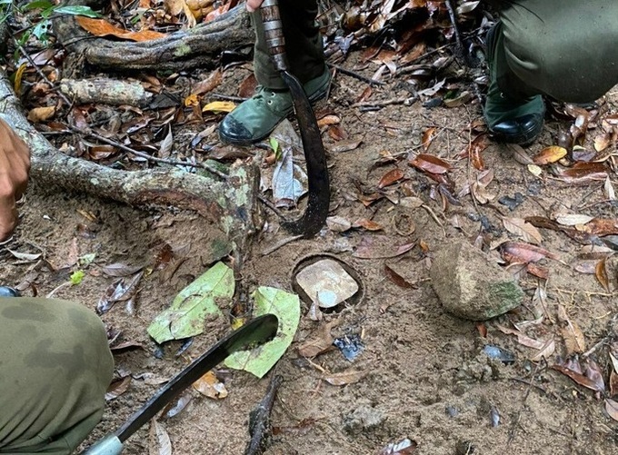 Wild animals threatened by illegal Son Tra Peninsula traps - 2