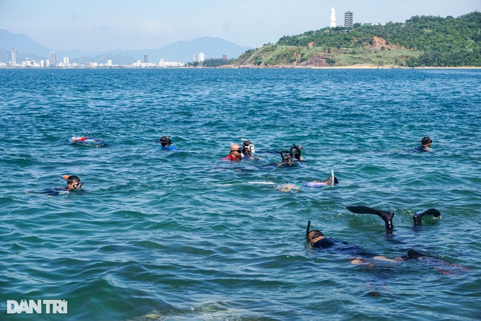 Volunteers help protect Danang coral reefs - 1 Volunteers help protect Danang coral reefs - 1