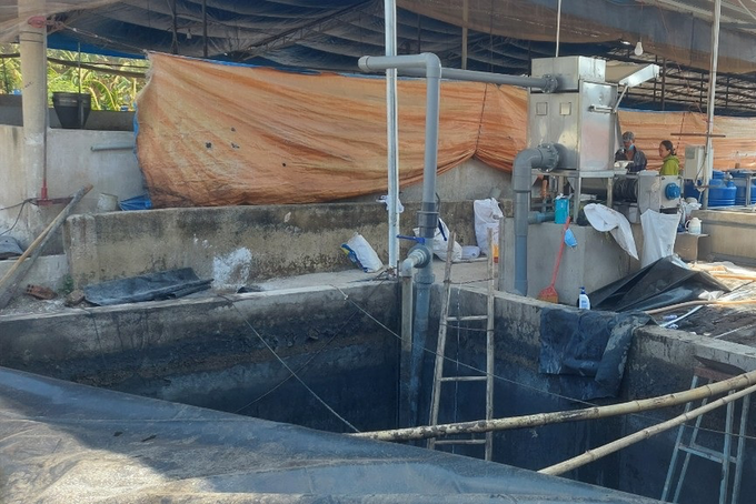 Three suffocate in Dong Nai pig farm - 1