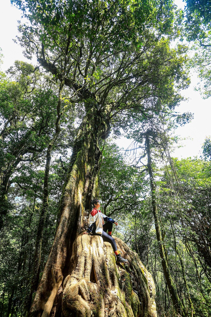 Pristine beauty of Ta Xua mountain peak - 3