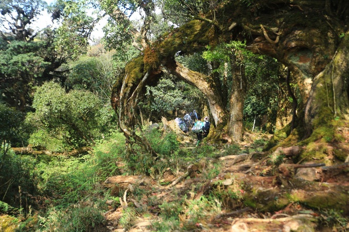 Pristine beauty of Ta Xua mountain peak - 5