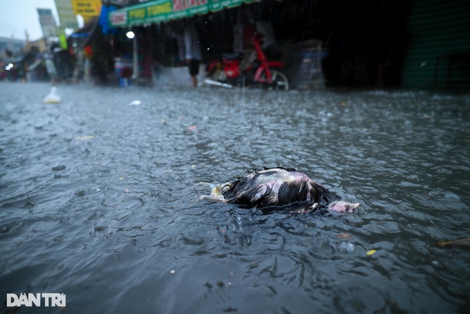 HCM City struggles with severe inundation due to heavy rains - 5 HCM City struggles with severe inundation due to heavy rains - 5