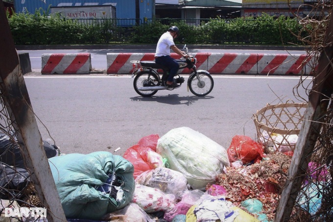 Rubbish covers many HCM City streets - 3