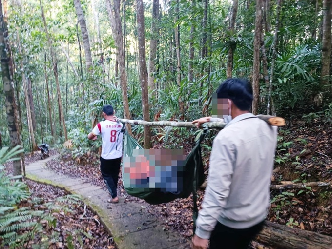 Tree falls at Gia Lai forest, killing tourist - 1 Tree falls at Gia Lai forest, killing tourist - 1