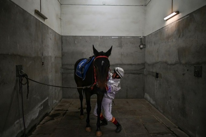 Beating the odds, Wuhan horse racing gallops beyond virus - 1