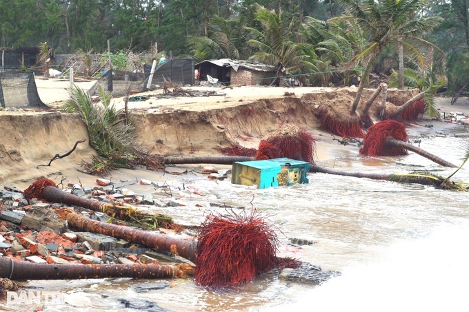 Quang Nam beaches severely eroded - 8