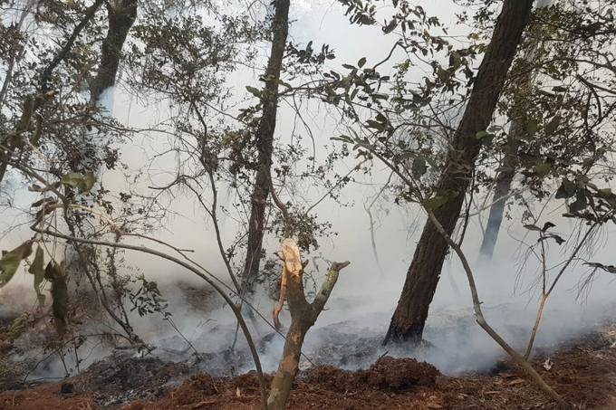 Forest fire occurs in Hanoi’s outskirts - 2