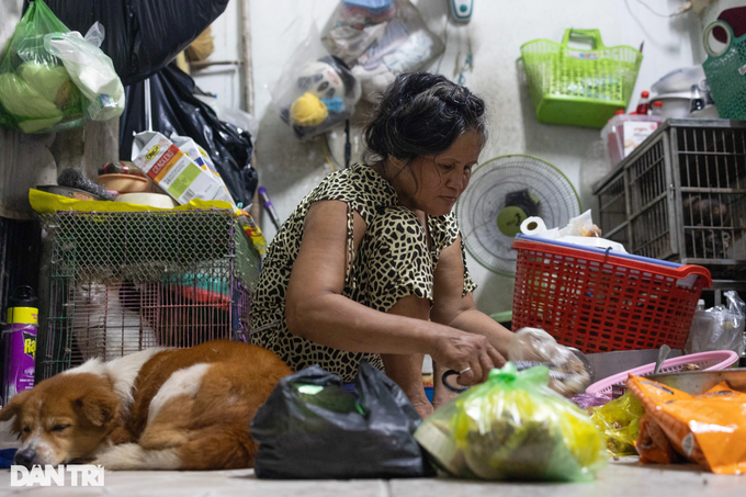 HCM City woman’s love for abandoned cats - 3