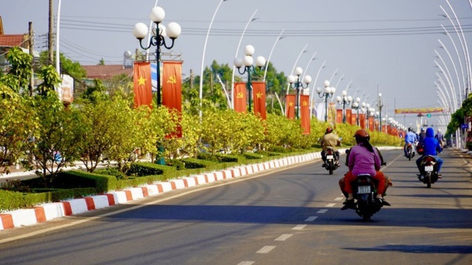 Record-breaking Vietnamese apricot blossom road recognised - 1 Record-breaking Vietnamese apricot blossom road recognised - 1