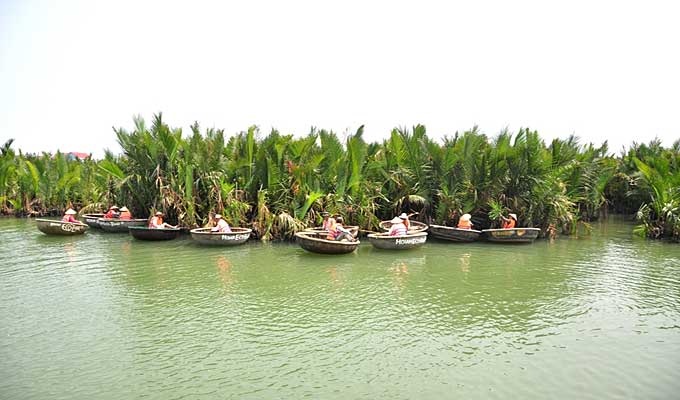 Nipa palm afforestation tour to be launched - 1