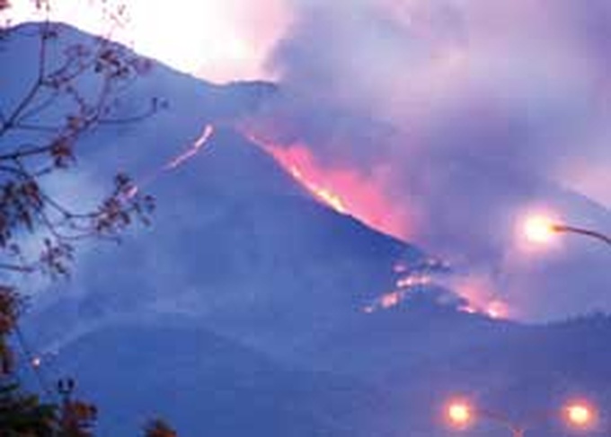 Forest fires wreak havoc - 1 Forest fires wreak havoc - 1