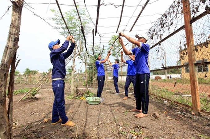 Vietnam aims to treat HIV, halt drug rise - 1