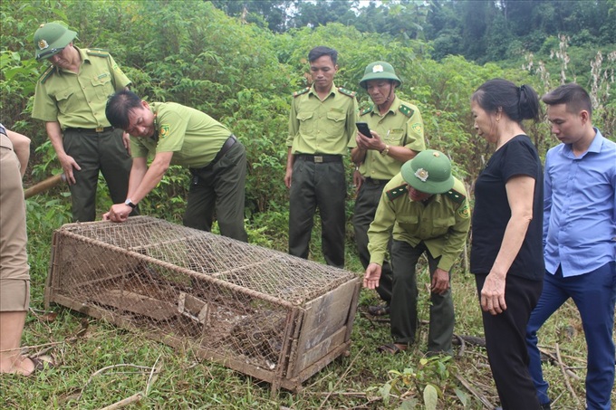 Rare python released back to the wild - 1 Rare python released back to the wild - 1