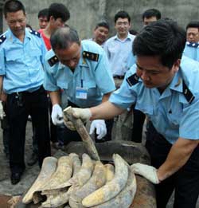 Smuggling violations rise - 1 Smuggling violations rise - 1