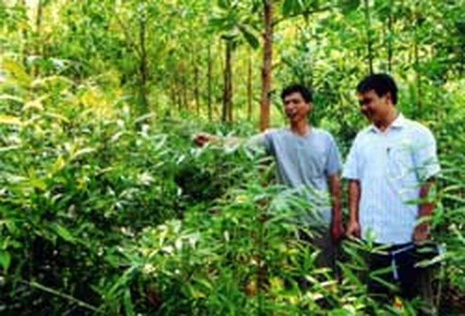 Forest land allocation presents challenges - 1 Forest land allocation presents challenges - 1