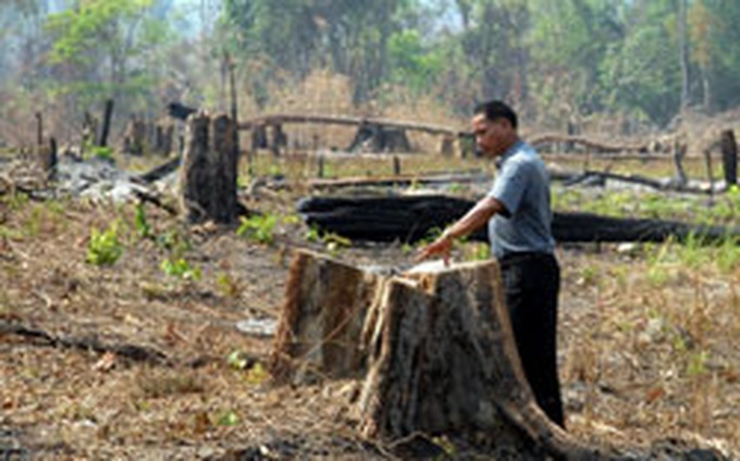 Vietnam loses ‘green' image - 1 Vietnam loses ‘green' image - 1