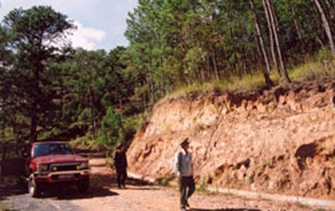 Forest scheme needs more time - 1 Forest scheme needs more time - 1