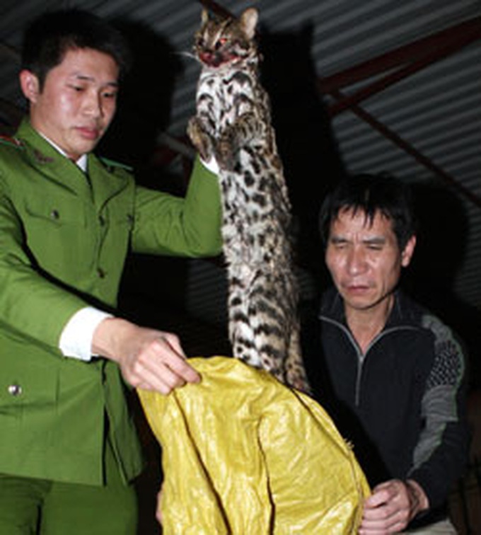 Officials call for stronger wildlife preservation effort - 1