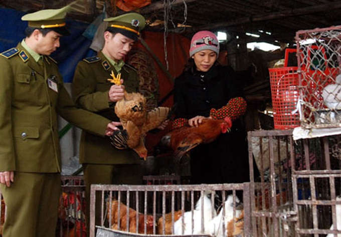 Ban imposed on poultry transport via border gates - 1