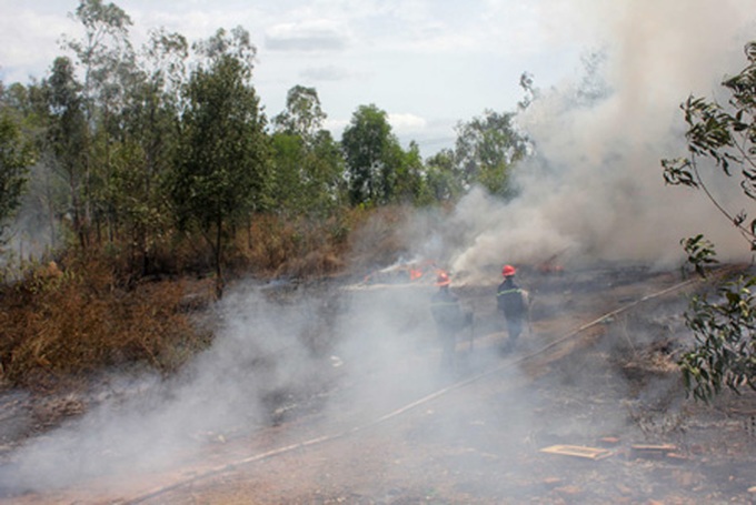 Drought raises forest fire risk - 1 Drought raises forest fire risk - 1