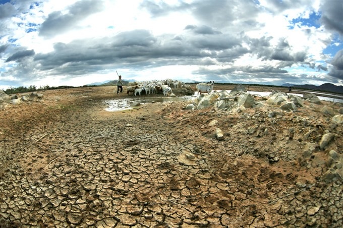 Experts warn about environmental pollution’s impacts on GDP growth - 1