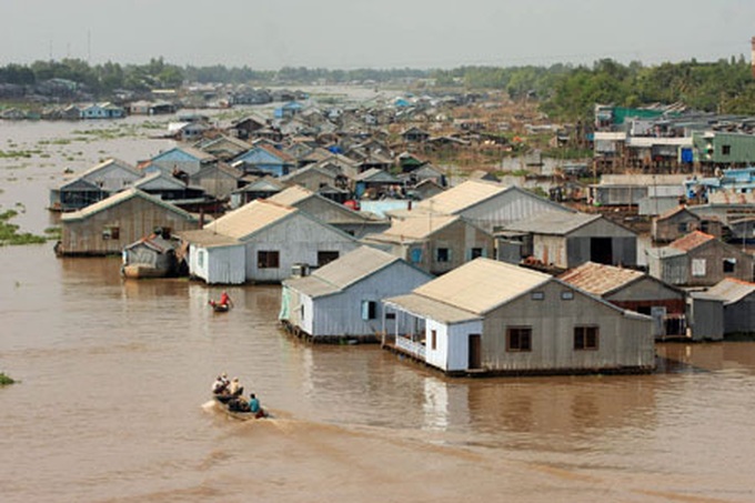 Dams could signal end for giant catfish - 1 Dams could signal end for giant catfish - 1