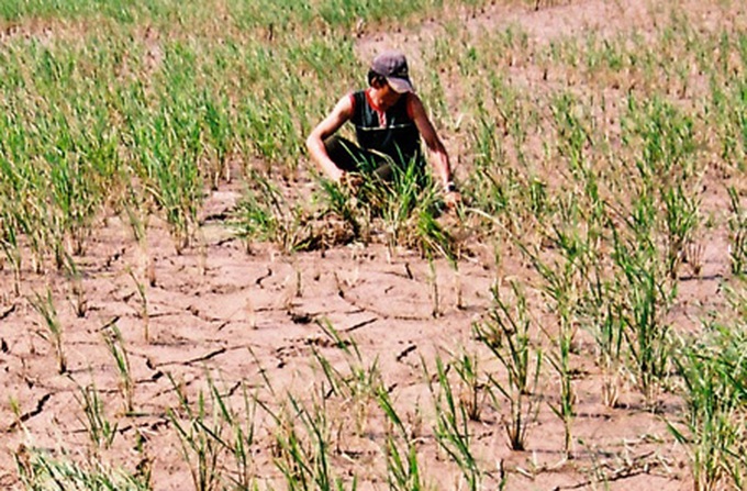 Drought spurs shift in region's agriculture - 1 Drought spurs shift in region's agriculture - 1