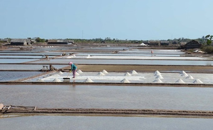 Hot weather lifts Ben Tre salt yield by 30% - 1 Hot weather lifts Ben Tre salt yield by 30% - 1