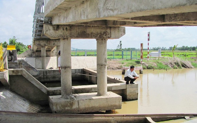 Salt water plagues Delta rice farms - 1 Salt water plagues Delta rice farms - 1