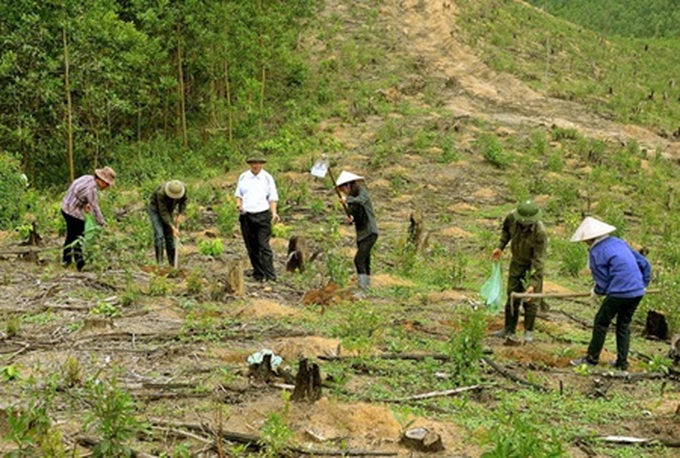 Vietnam leads way in forest protection - 1