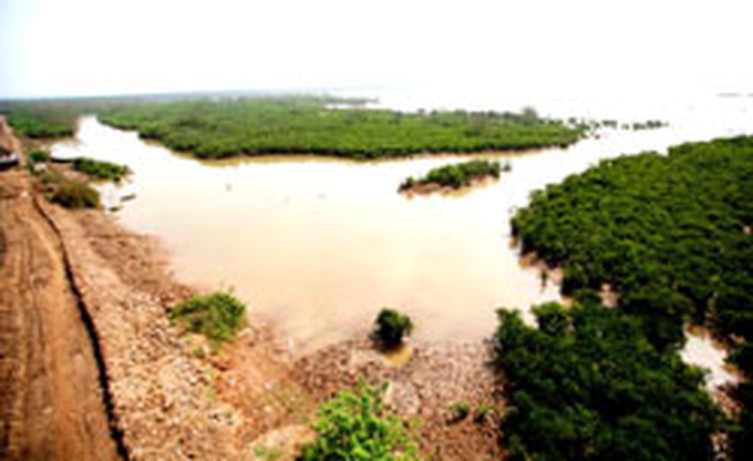 Local communities to manage forests - 1 Local communities to manage forests - 1