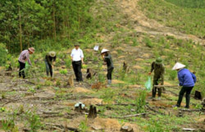 Farms pose new threat to forests - 1