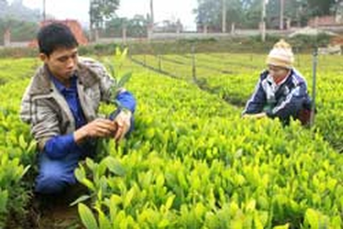 Proposal to reduce size of protected forests - 1 Proposal to reduce size of protected forests - 1