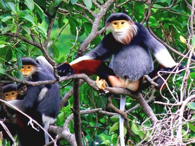 Ministry ignores environmental opposition to controversial tourist plan - 1